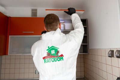 Zwalczanie karaluchow-6